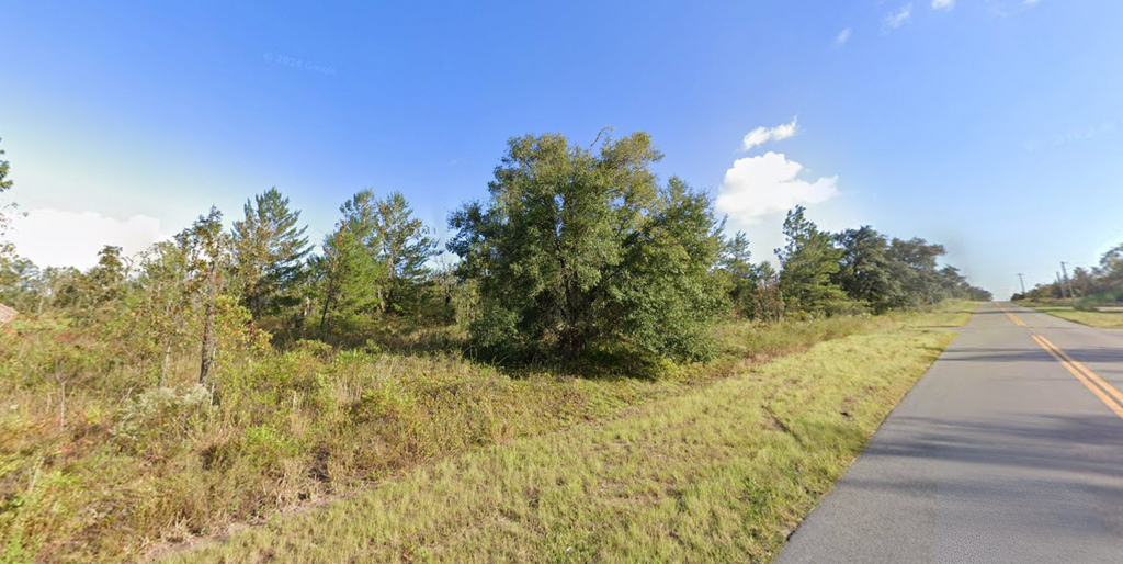 0 Lakeview Trl, Interlachen, FL 32148