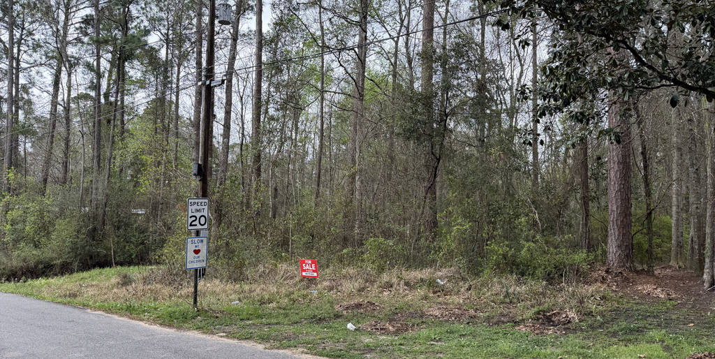 0 Rockvale Dr, Gautier, MS 39553
