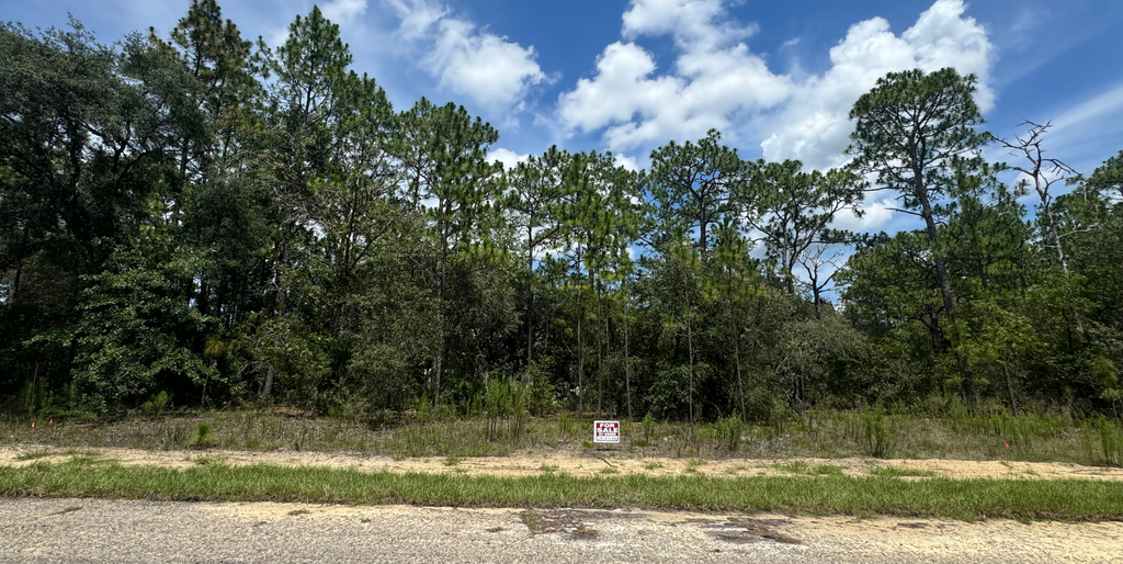 1956 W Wavecrest Dr, Dunnellon, FL 34434