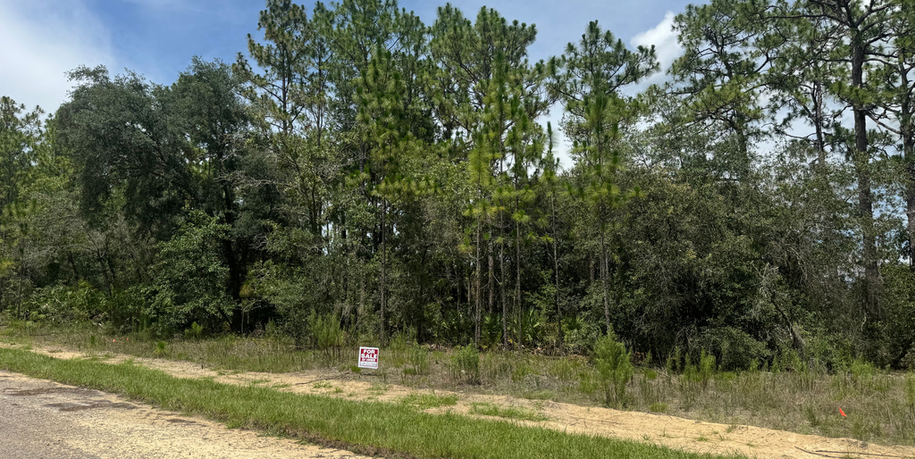 1956 W Wavecrest Dr, Dunnellon, FL 34434