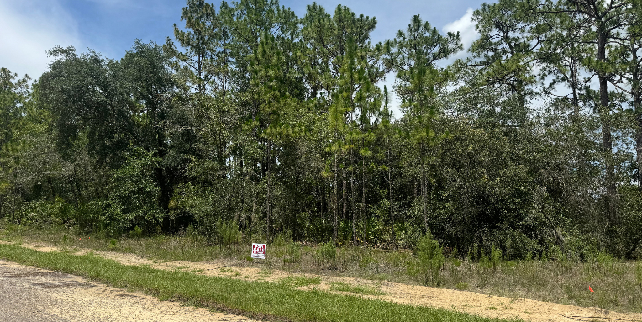 1956 W Wavecrest Dr, Dunnellon, FL 34434