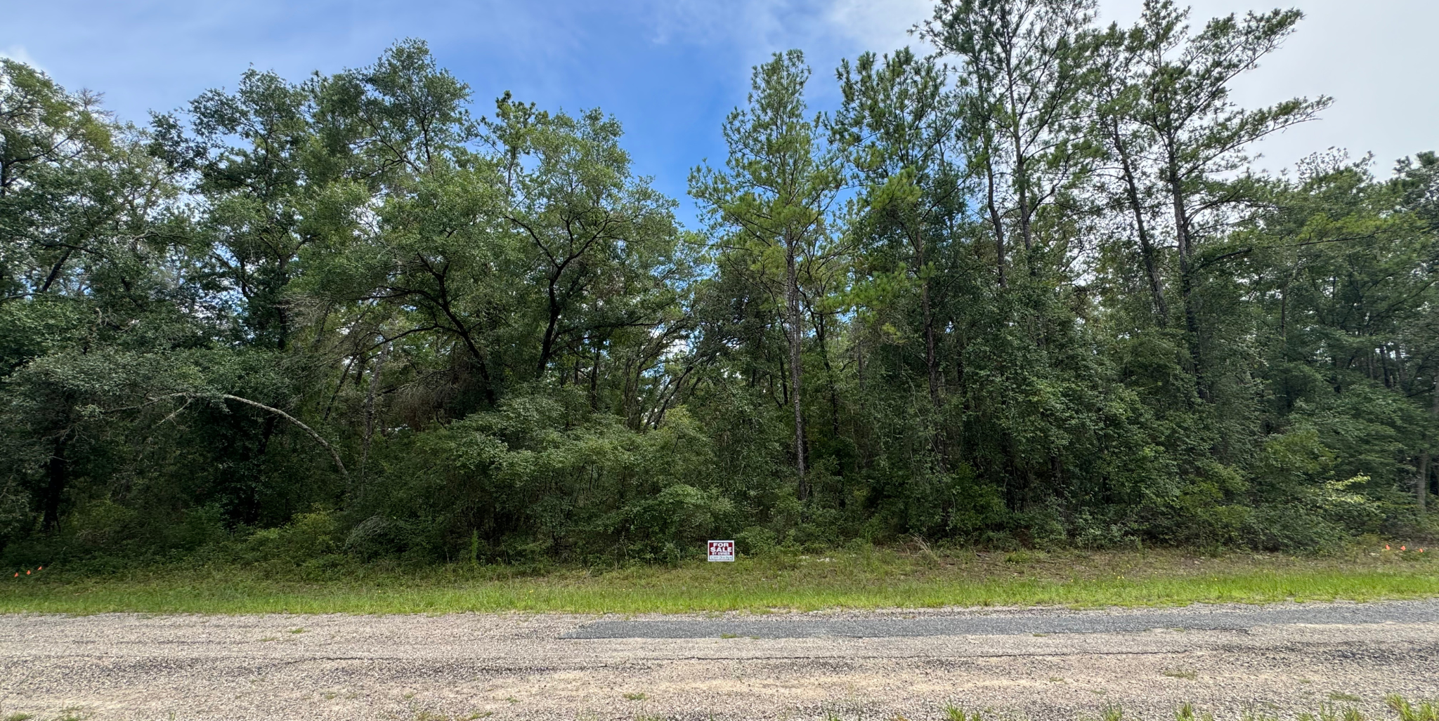 818 E Panama Dr, Dunnellon, FL 34434