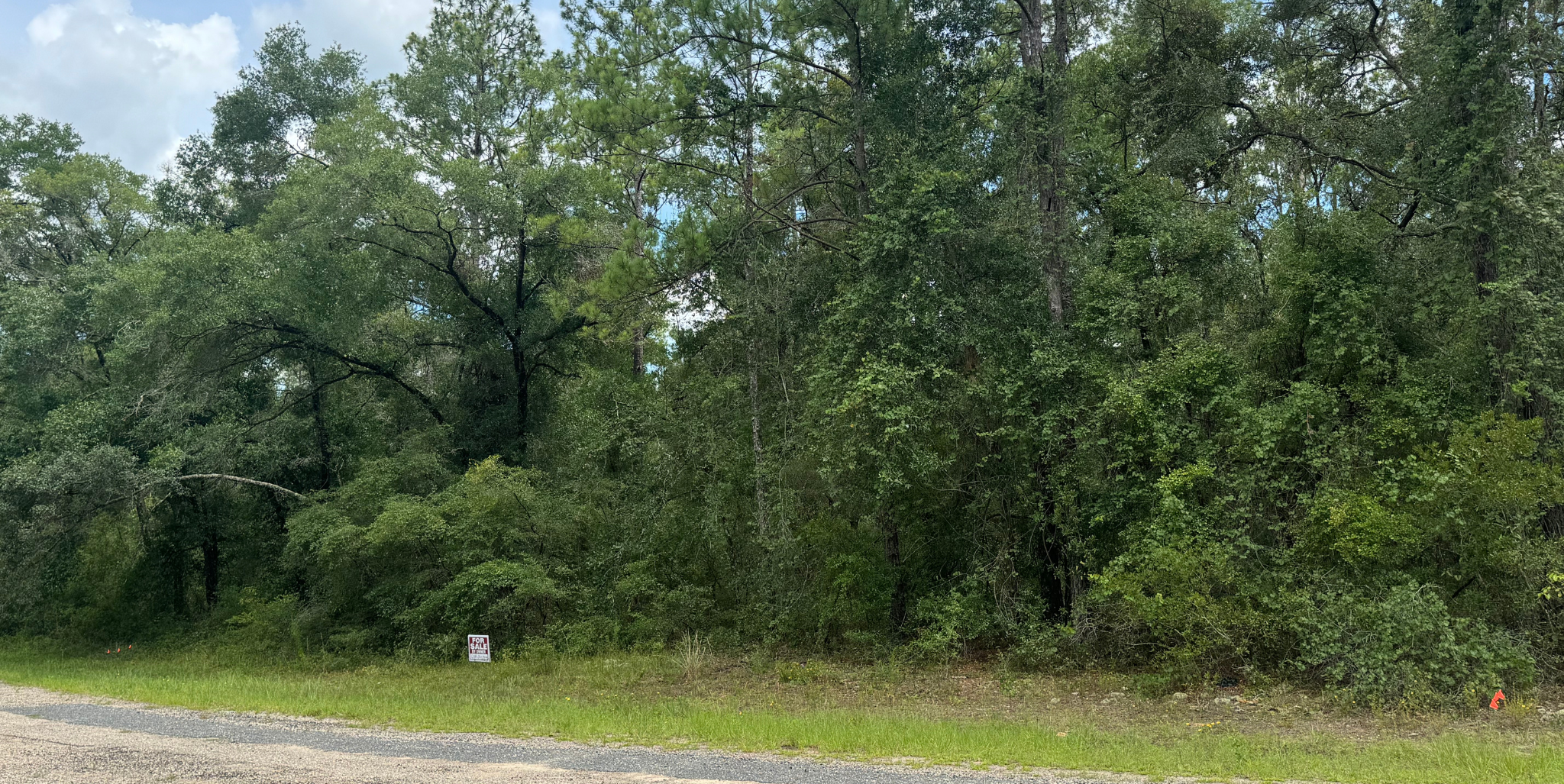 818 E Panama Dr, Dunnellon, FL 34434