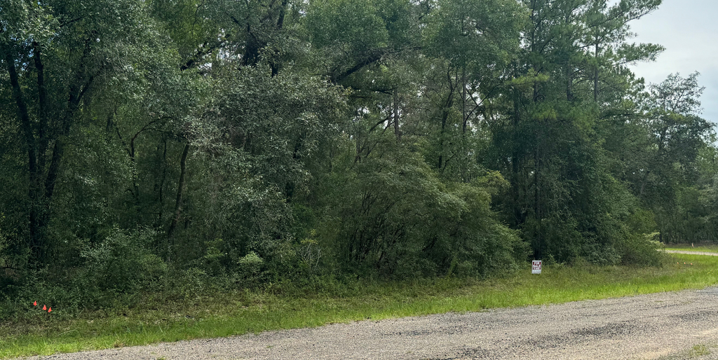 818 E Panama Dr, Dunnellon, FL 34434