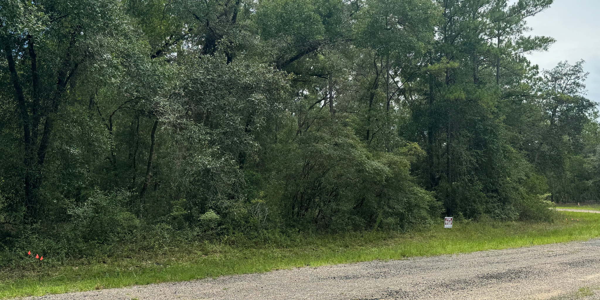 818 E Panama Dr, Dunnellon, FL 34434