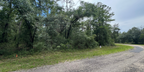 818 E Panama Dr, Dunnellon, FL 34434