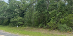 818 E Panama Dr, Dunnellon, FL 34434