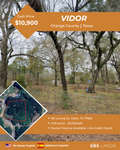 135 Loving Dr, Vidor, TX 77662