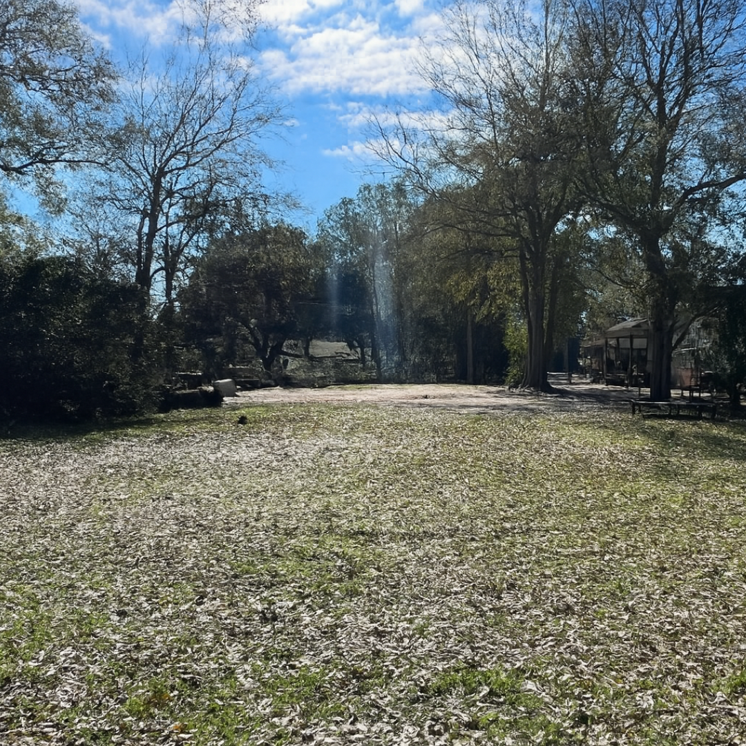 210 W 7th St, Hattiesburg, MS 39401