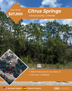 1956 W Wavecrest Dr, Dunnellon, FL 34434